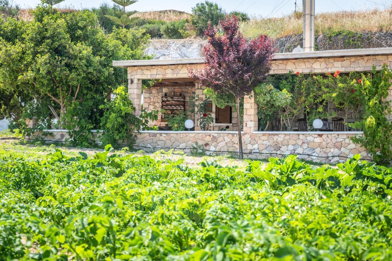 Emilia'S Little Farmhouses Agioi Anargyroi  ภายนอก รูปภาพ