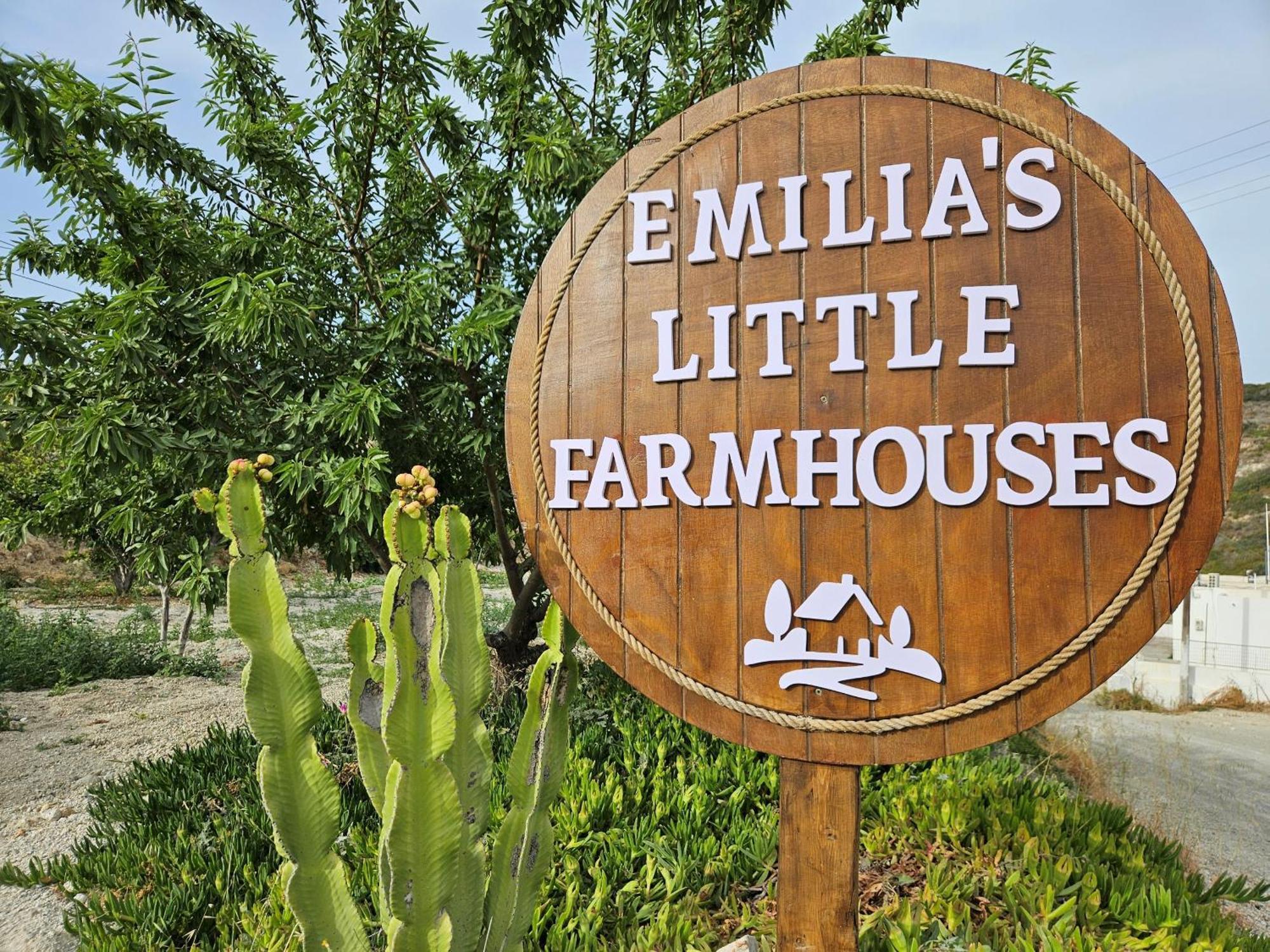 Emilia'S Little Farmhouses Agioi Anargyroi  ภายนอก รูปภาพ